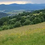 Villove Pensjonat *
