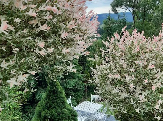 Villove Domy Spa Guest house