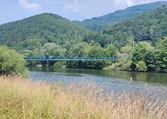 Guest house Villove Domy Spa