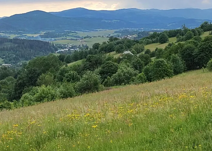 Villove بيت ضيافة *