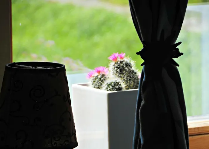 Villove * رايتشا